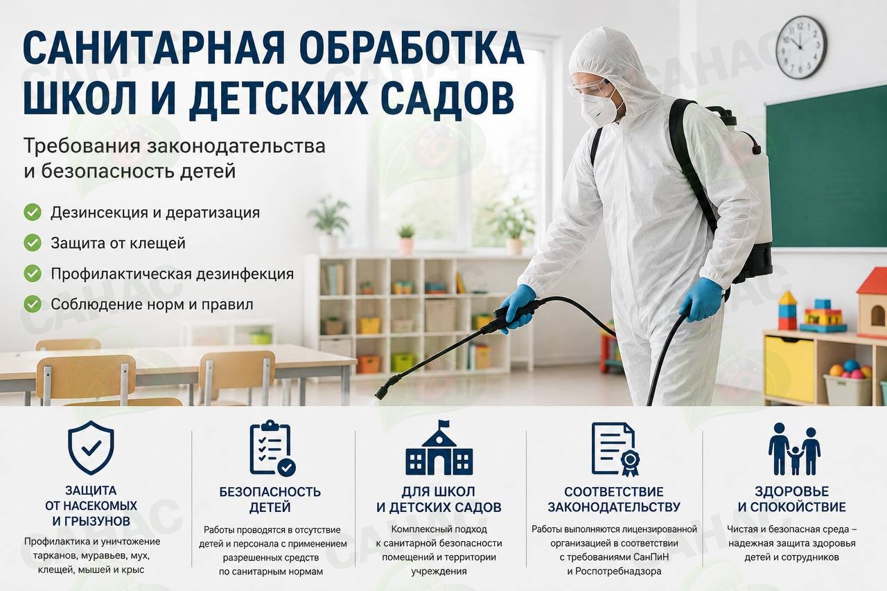 Санитарная обработĸа школ и детских садов: требования заĸонодательства и безопасность детей