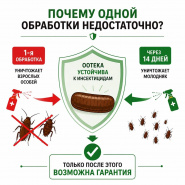 Почему гарантия от тараканов действует только после второй обработки?