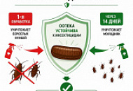 Почему гарантия от тараканов действует только после второй обработки?